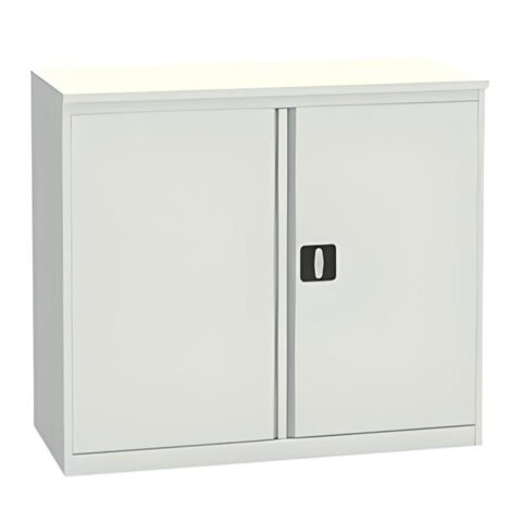 Металлический архивный шкаф ALR 8810