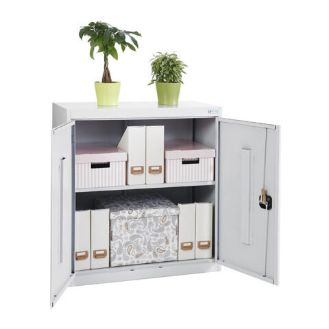 Металлический архивный шкаф ШХА/2-850 (40)